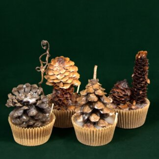 Deluxe Firestarters 4-Pack