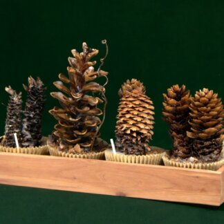 Deluxe Firestarter Gift Box Set