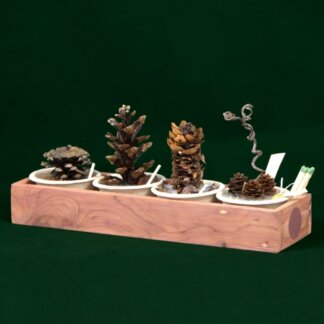 Mighty Mini Gift Box Set